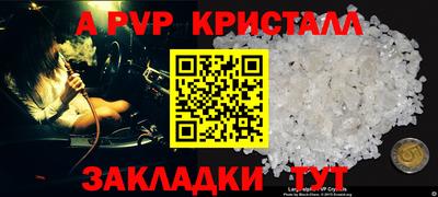 индика Камень-на-Оби