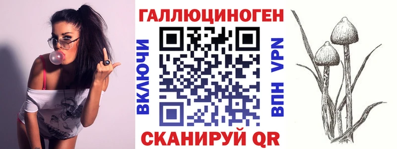 Псилоцибиновые грибы Psilocybine cubensis  купить   Кубинка 