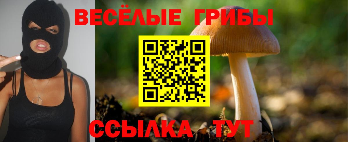 Галлюциногенные грибы мухоморы  Вход с VPN  Кубинка 