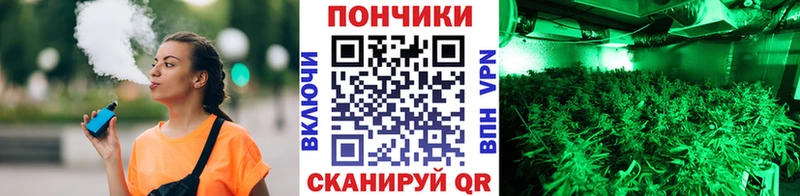 купить наркотики сайты  omg tor  Каннабис Amnesia  Кубинка 